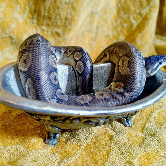 Meet your Posher, Stephanie - Picture 5 of 10